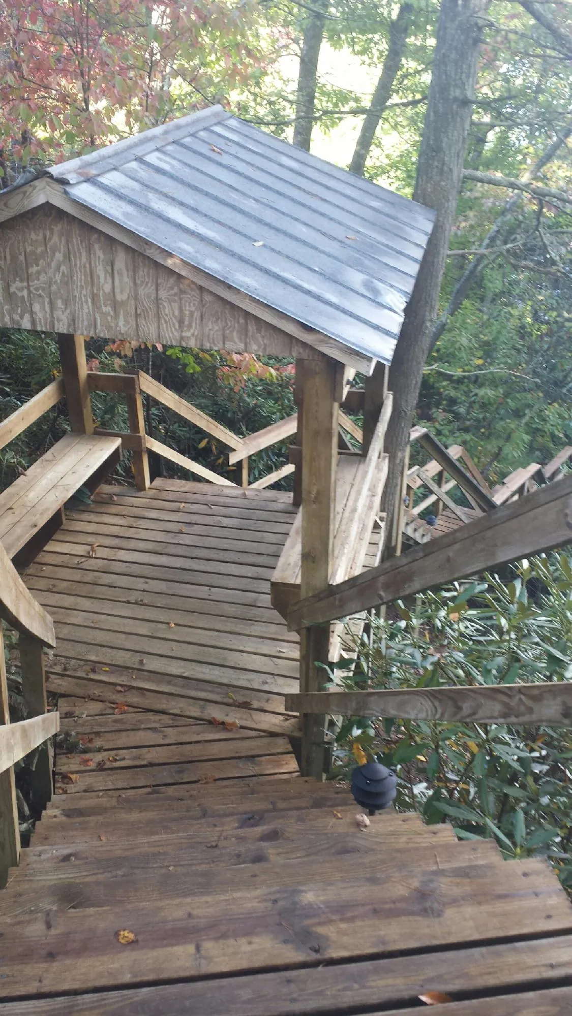 Metal roofed shelter over wooden steps on a wooded walkway — Skylight Repair & Installation work by our crew in Blue Mountain